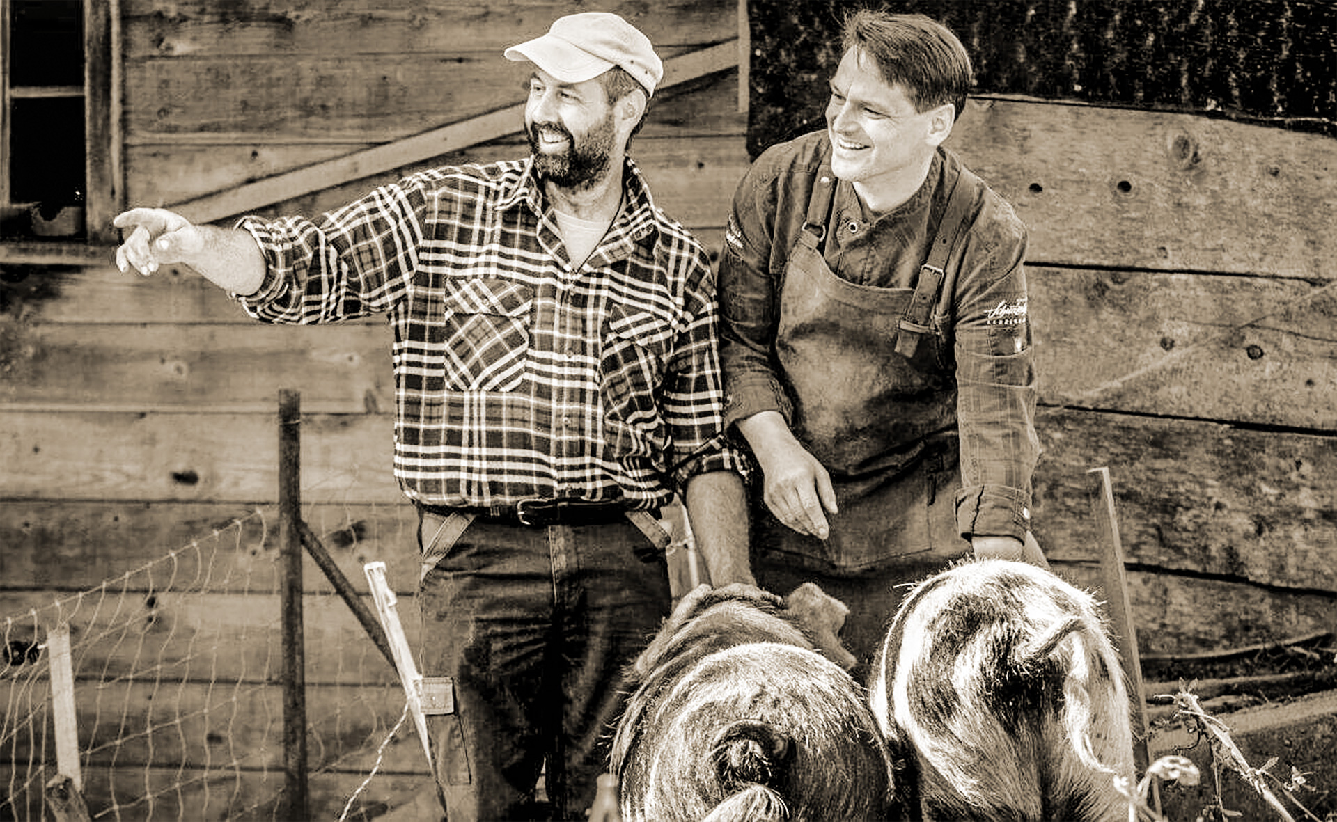 Hansjörg Ladurner und Bauer Bruno Hassler zusammen mit Schweinen