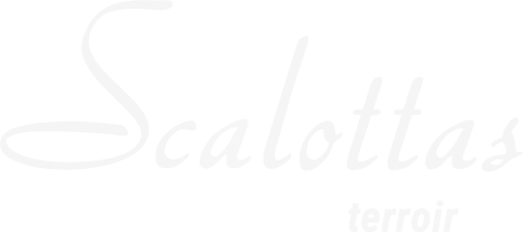 Scalottas Terroir